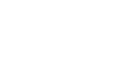 Sampson N Co Logo
